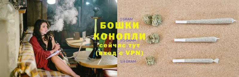 Бошки Шишки THC 21%  гидра маркетплейс  Электроугли 